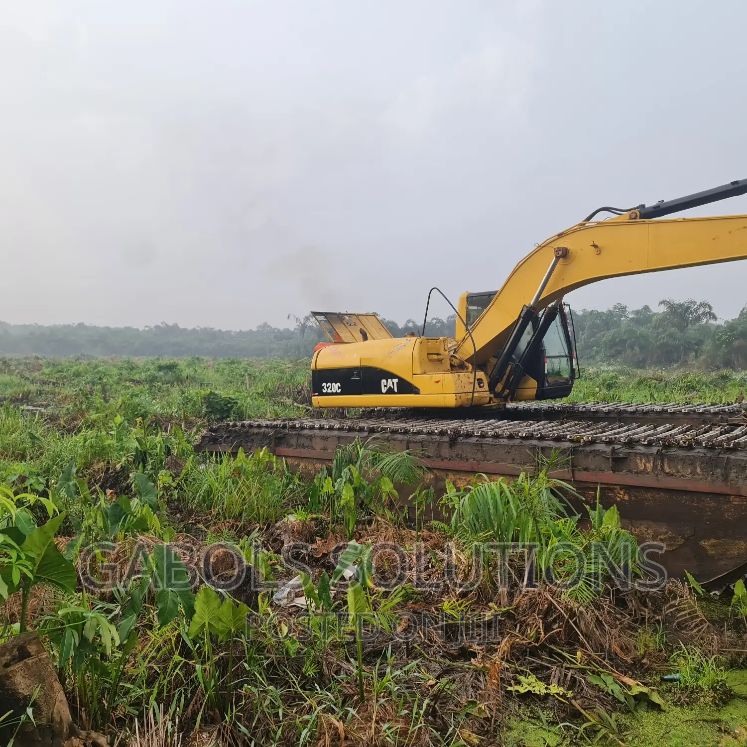 Swamp Clearing and Bush Clearing Swamp Buggy