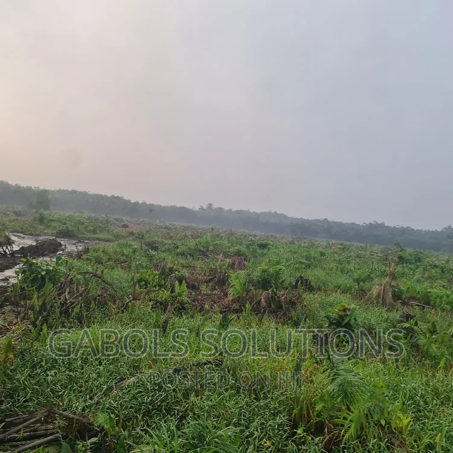 Swamp Roads for Temporary Access