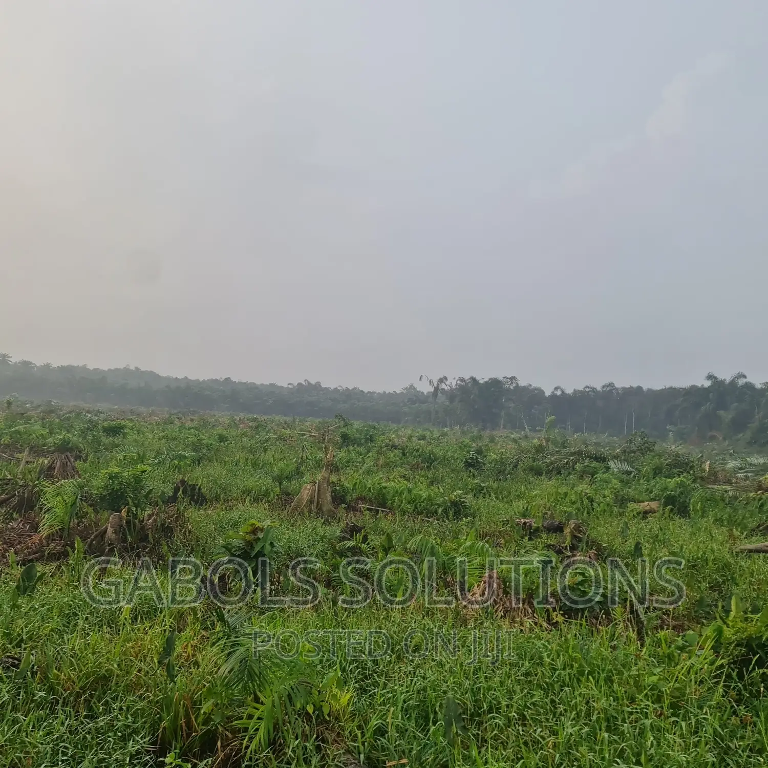 Swamp Roads for Temporary Access