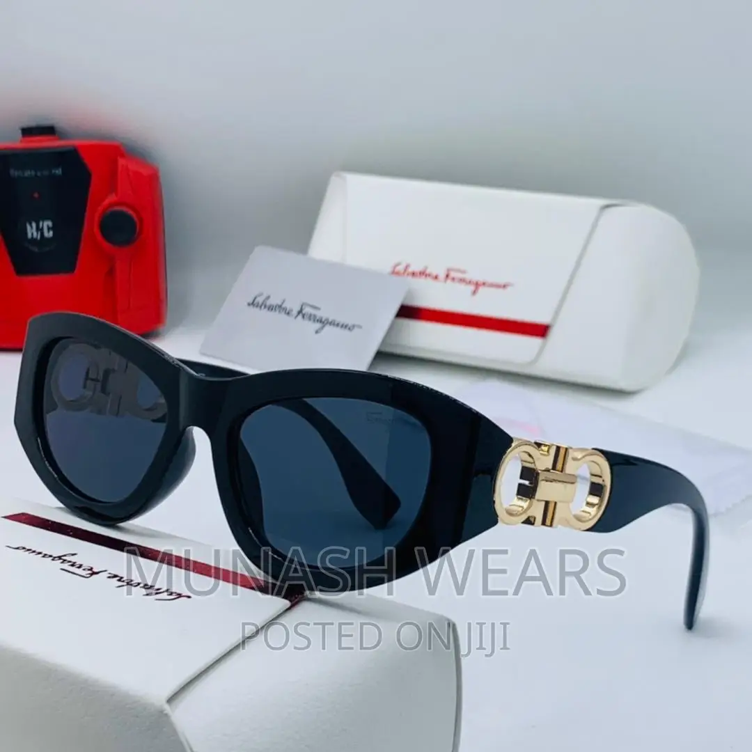 Luxury Original Salvatore Feragamo Glasses