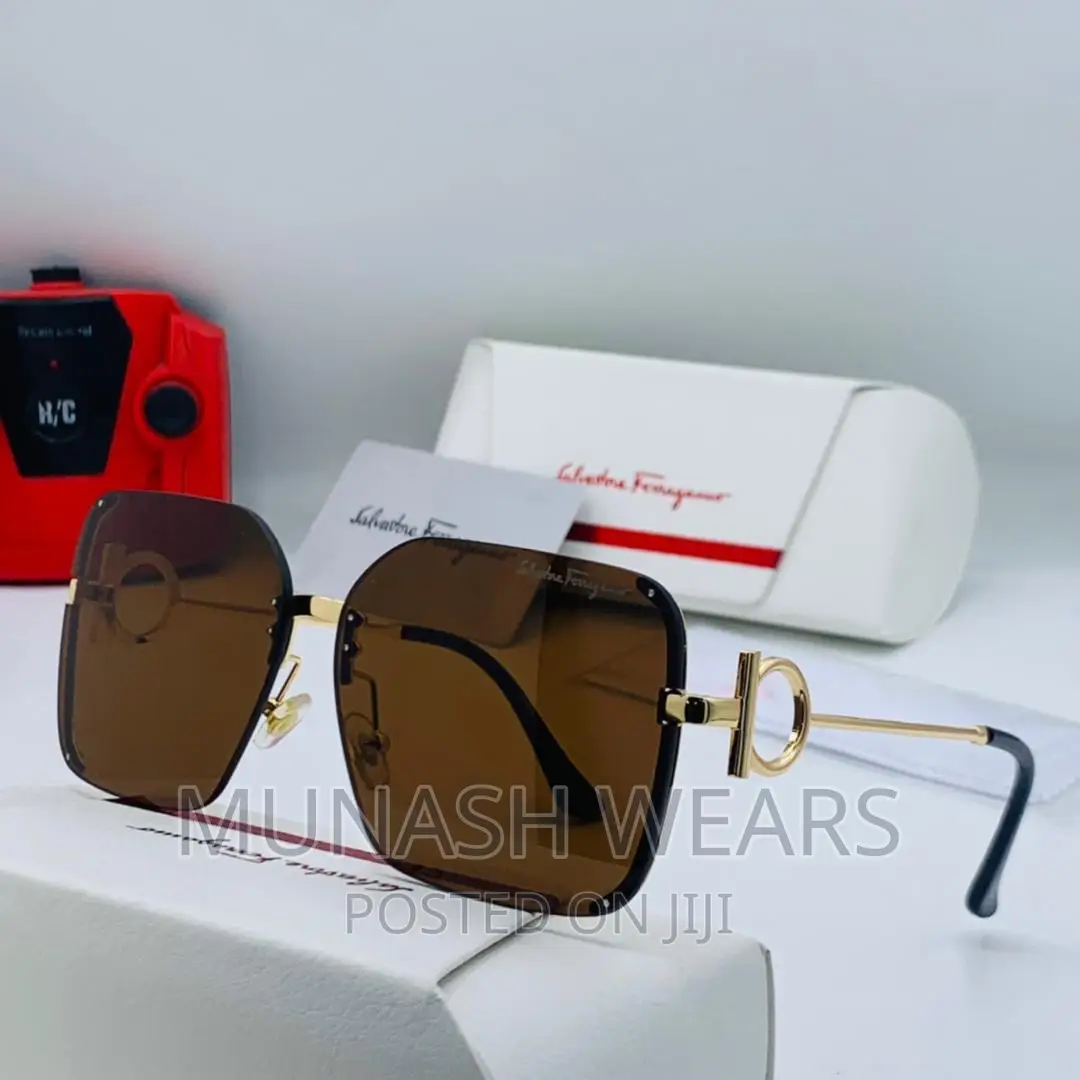 Luxury Original Salvatore Feragamo Glasses