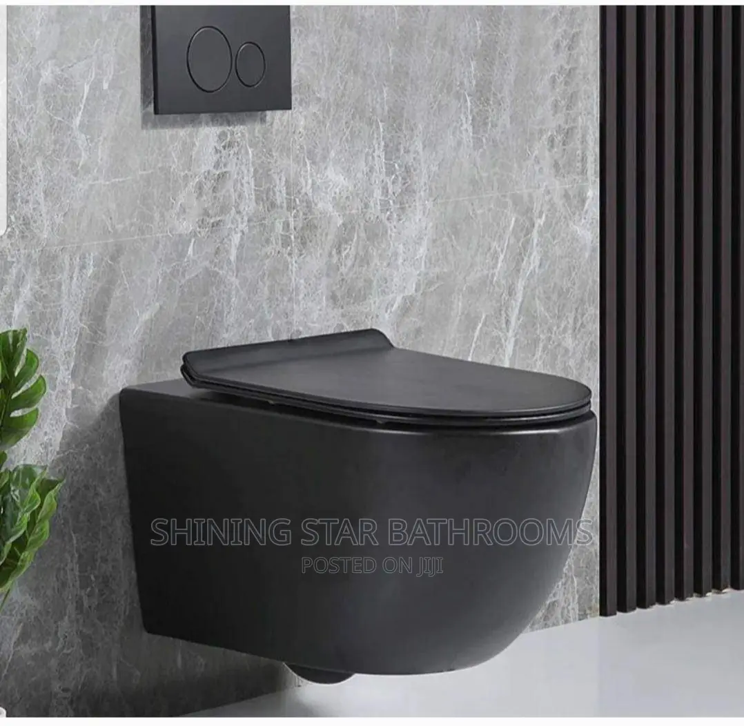 Black Conceal Toilet Set With Tank