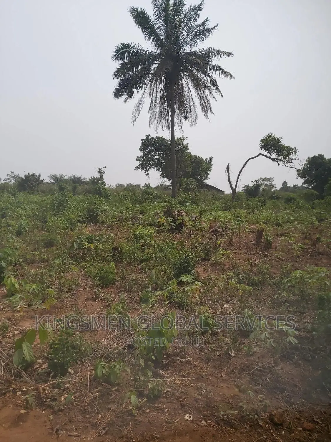 One Plot of Land at Agbowa in Ikorodu