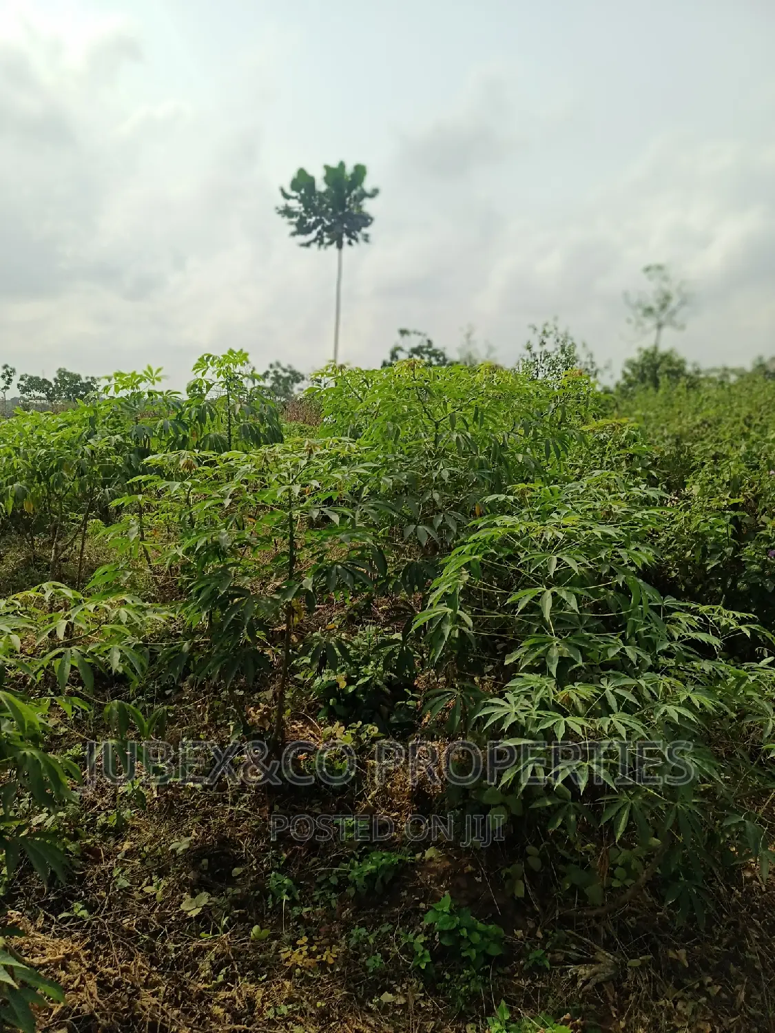 Acres of Land for Sale at Badagry