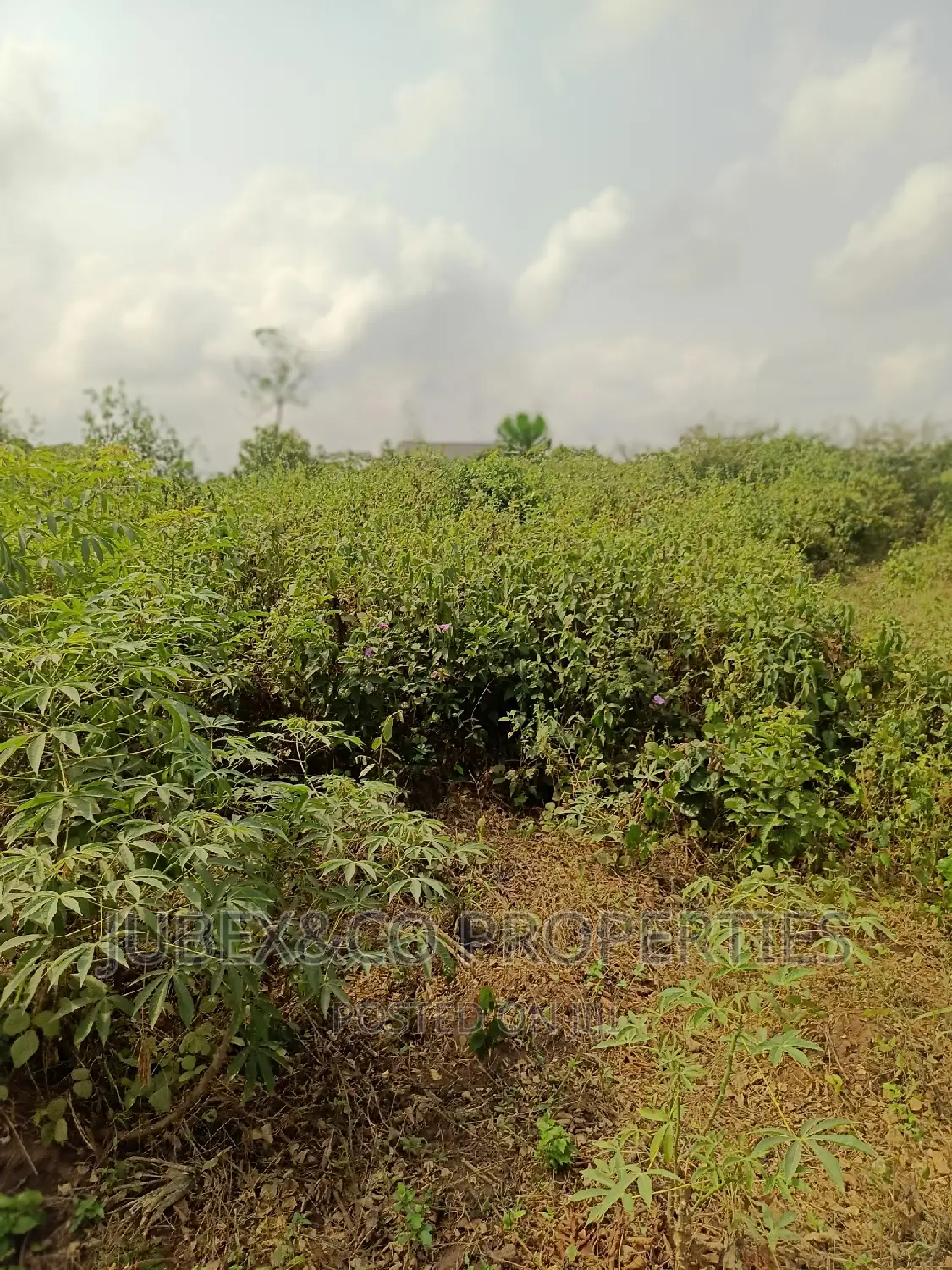 Acres of Land for Sale at Badagry