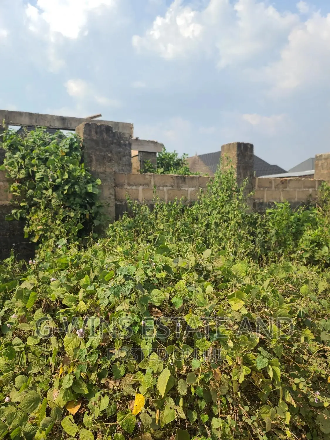 50x100ft for Sale at Okhuoromi Off Airport Road