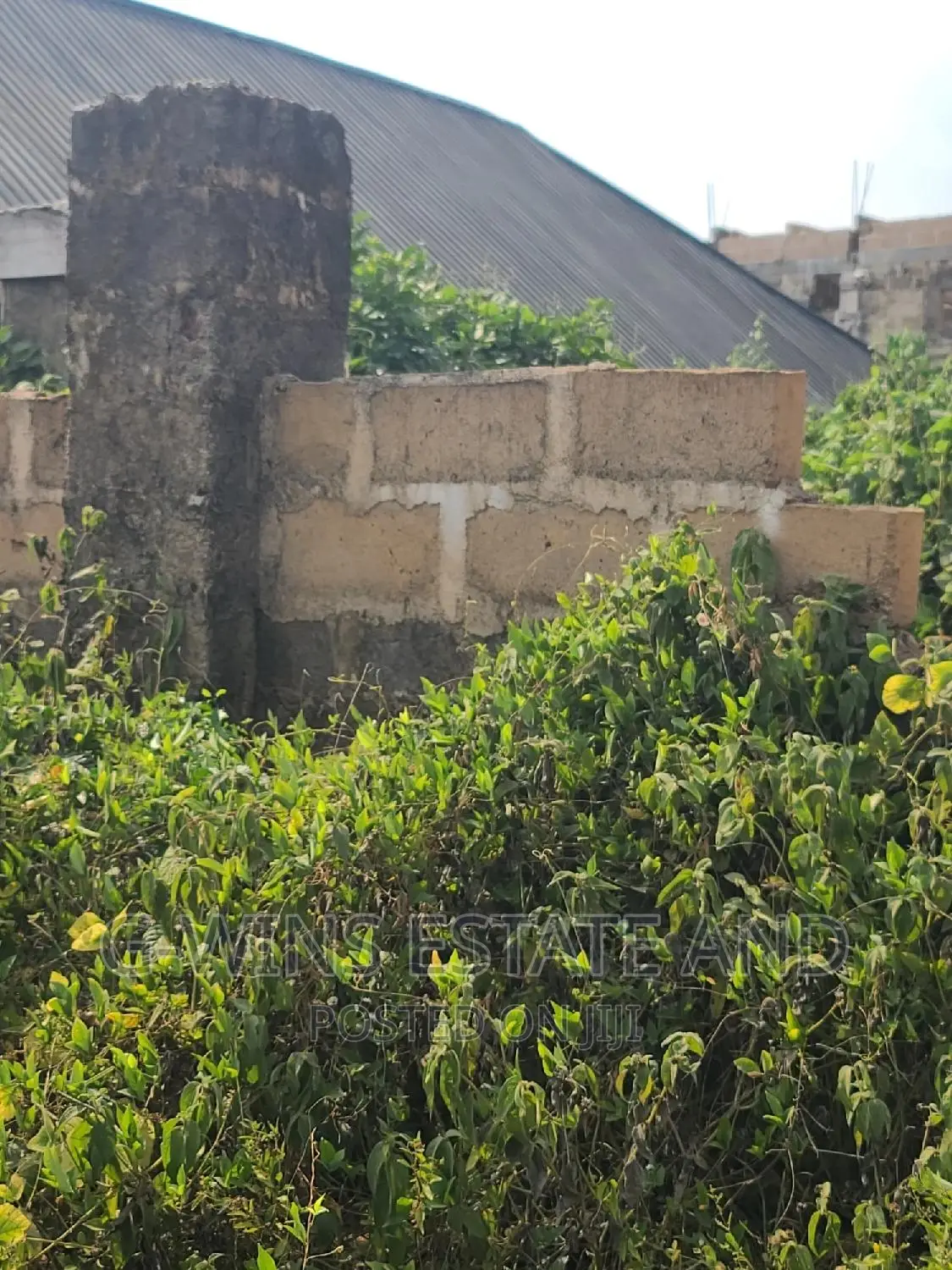 50x100ft for Sale at Okhuoromi Off Airport Road
