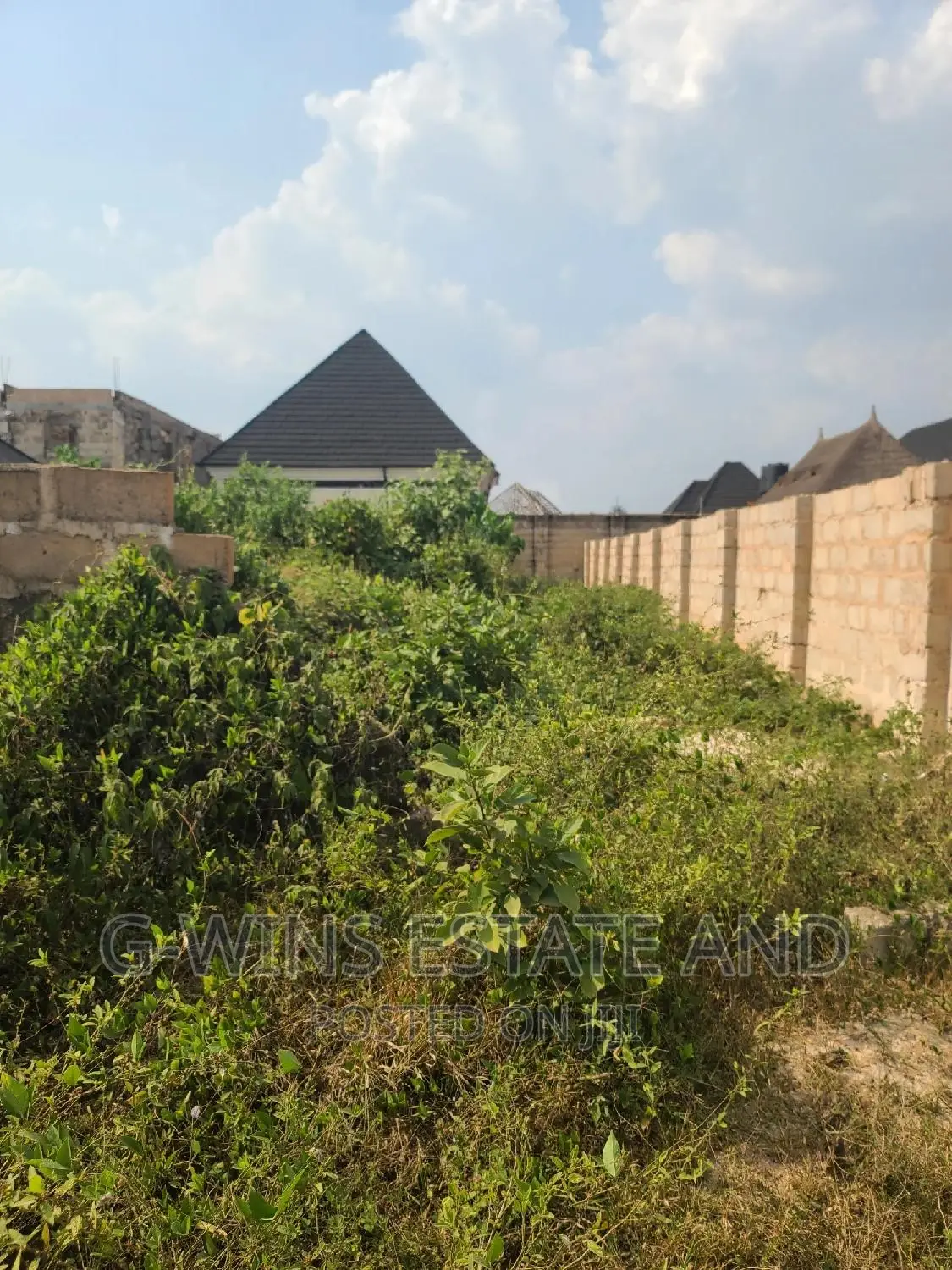 50x100ft for Sale at Okhuoromi Off Airport Road