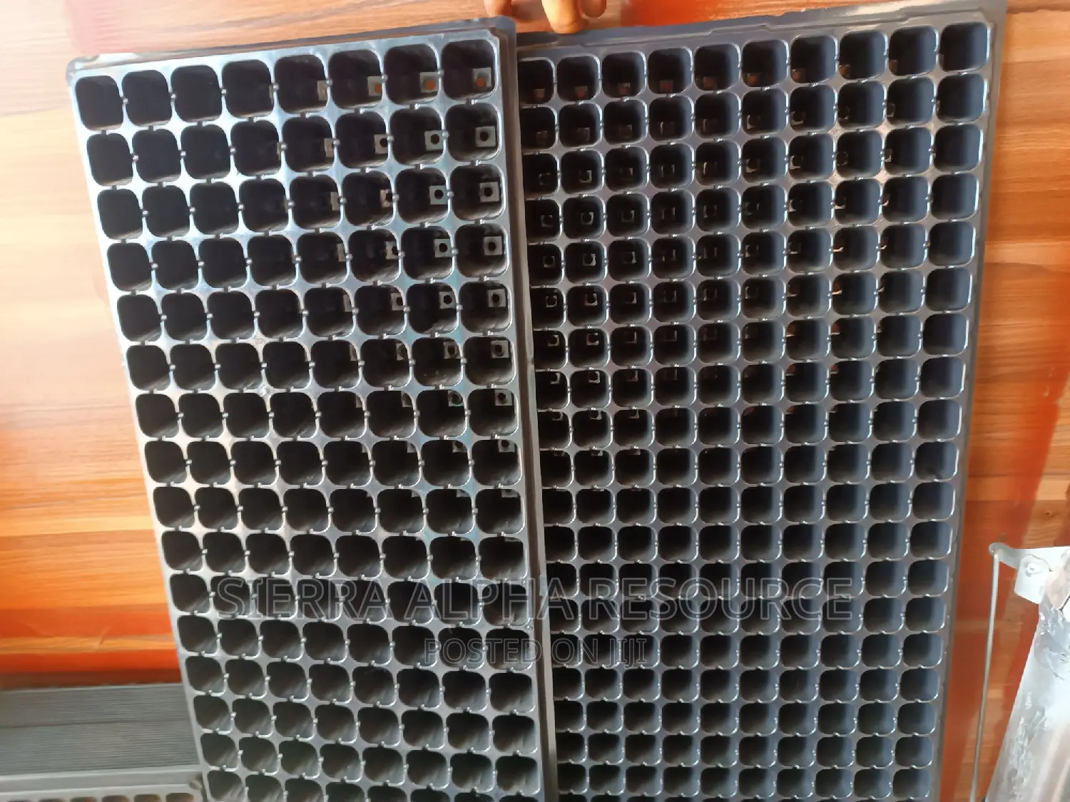 Seedling Trays
