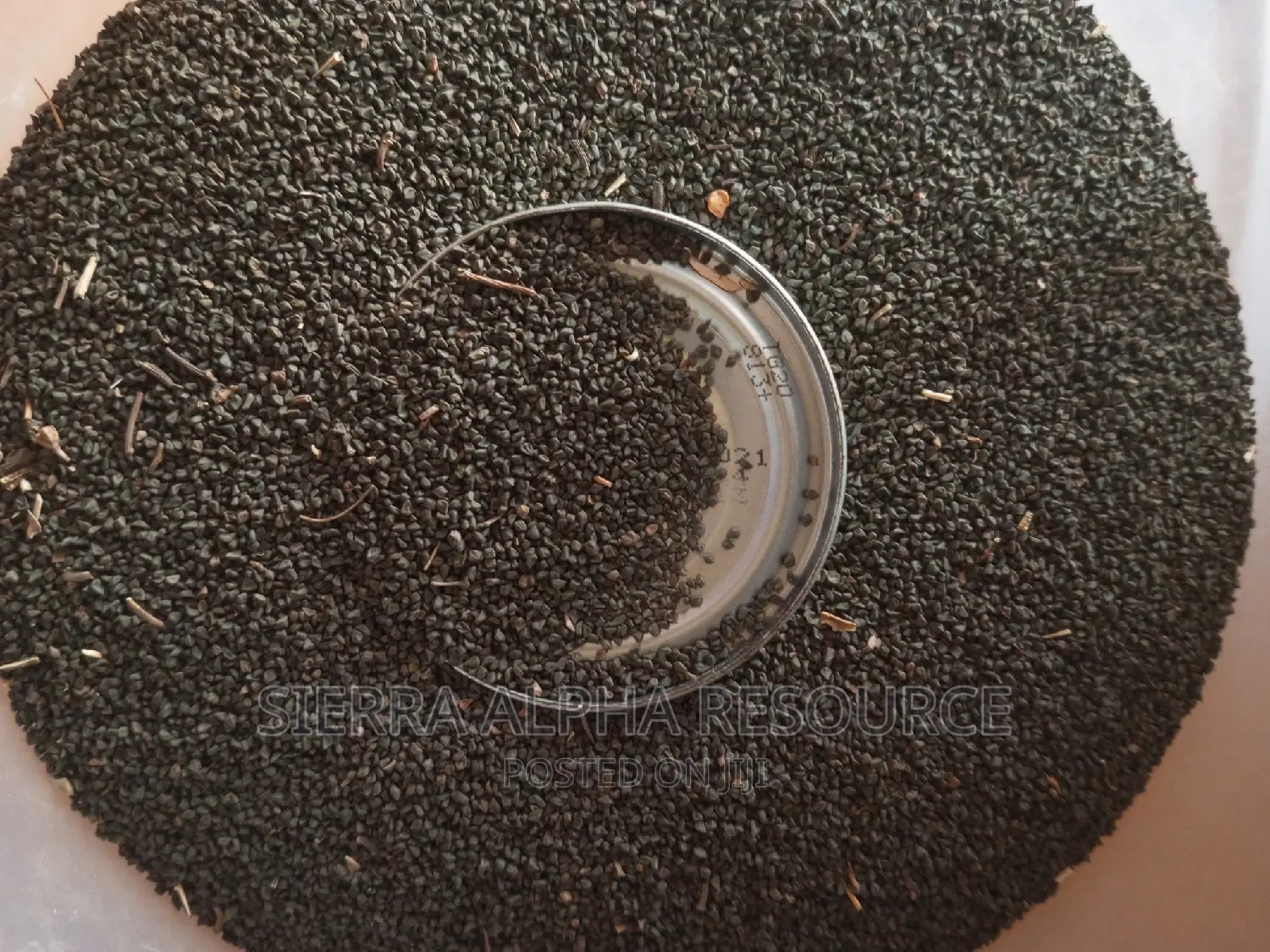 Ewedu/Efo Seeds