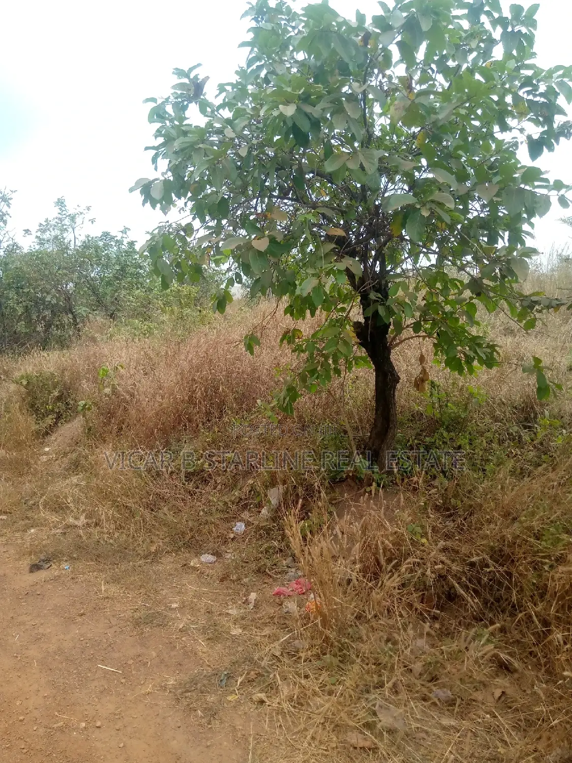 Two Plots of Land for Sale at Behind Timber Market Abakaliki