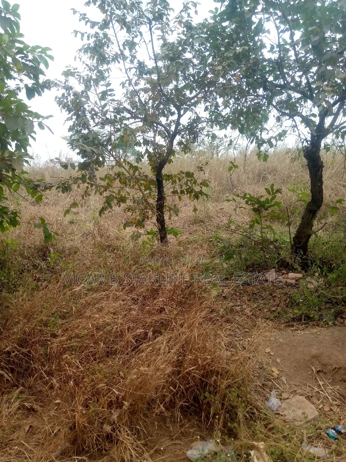 Two Plots of Land for Sale at Behind Timber Market Abakaliki