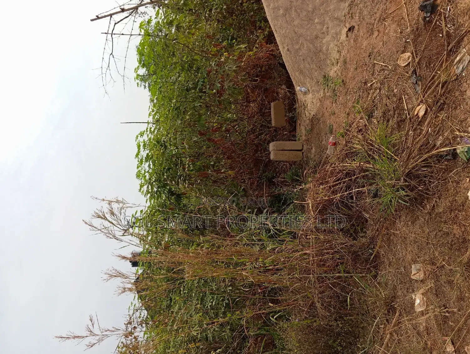 650 SQM in Ngozika Estate for Sale