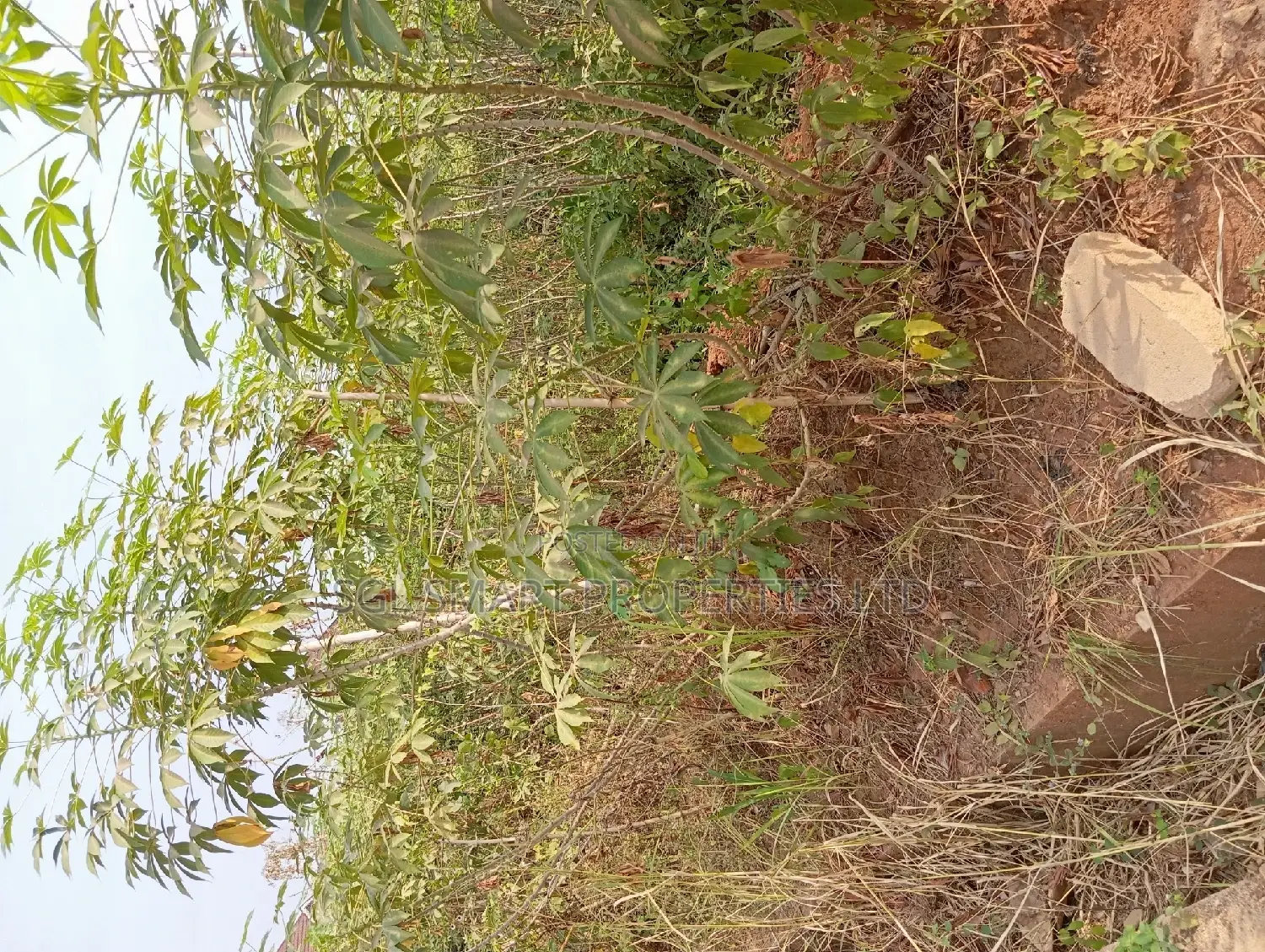 650 SQM in Ngozika Estate for Sale