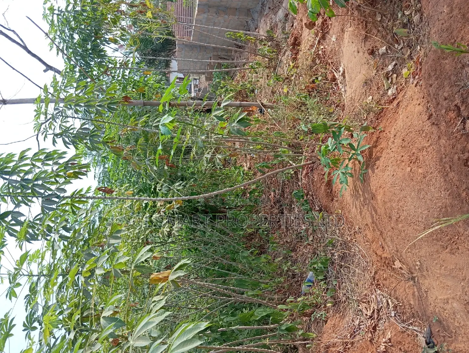 650 SQM in Ngozika Estate for Sale