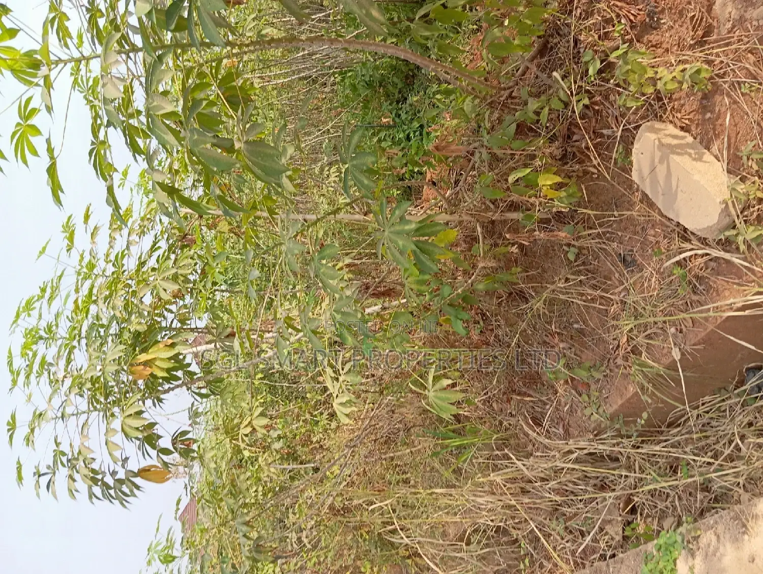 700 SQM of Land at Ngozika Estate Awka