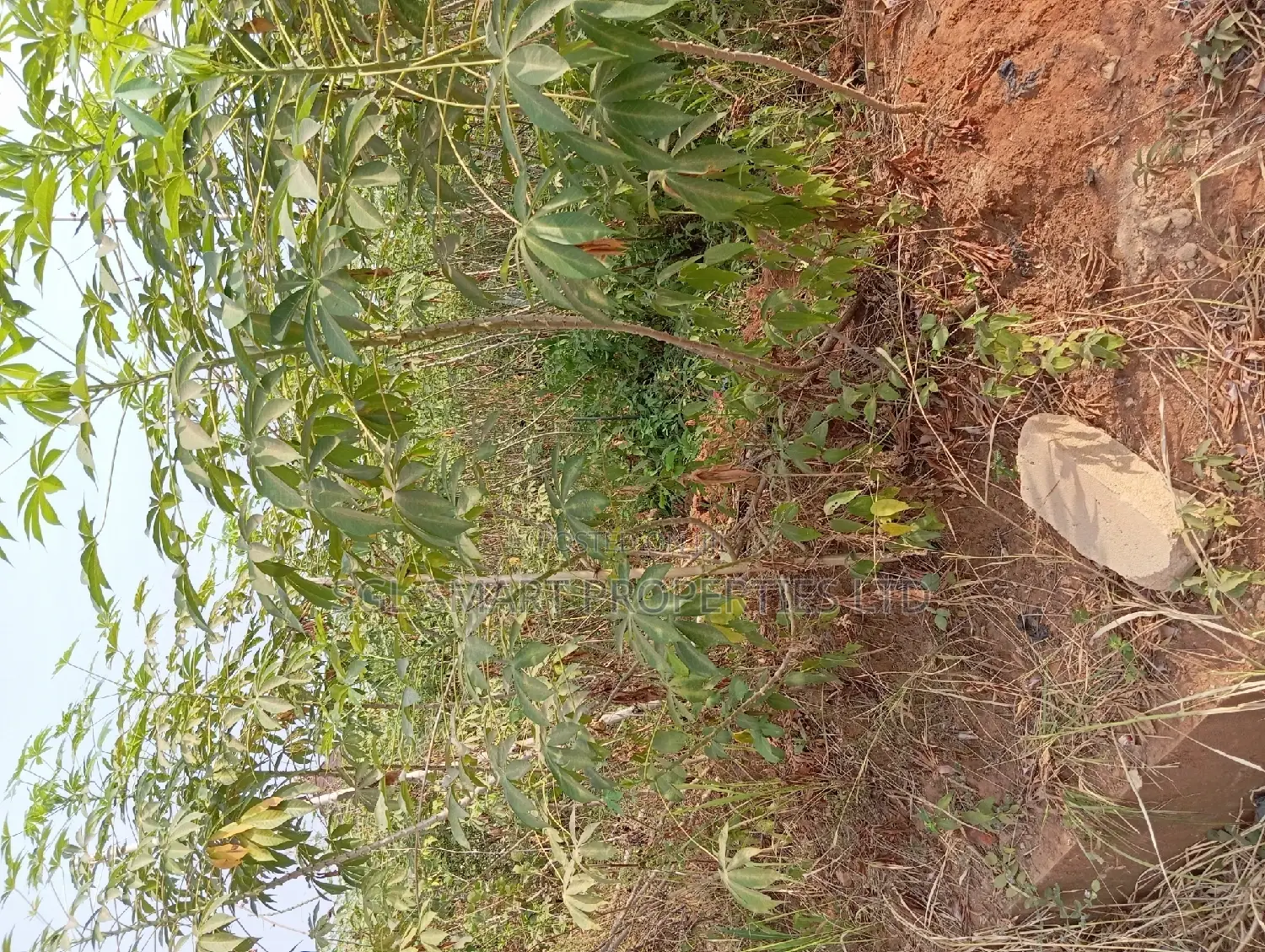 700 SQM of Land at Ngozika Estate Awka