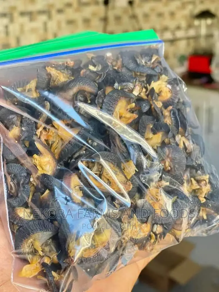 Oven Dried Snails - Large(50pieces)