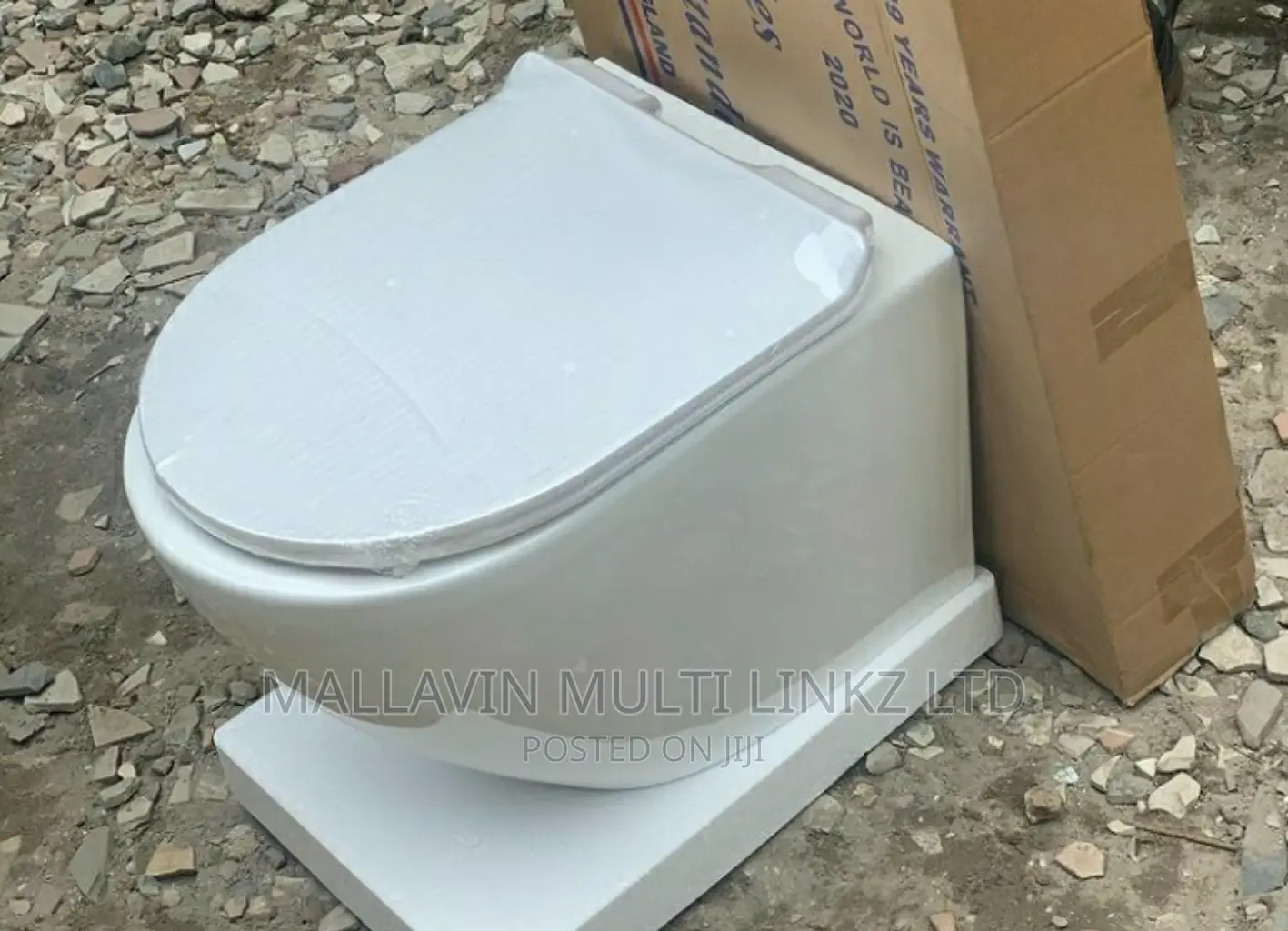 Concealed or Wall Hung Wc