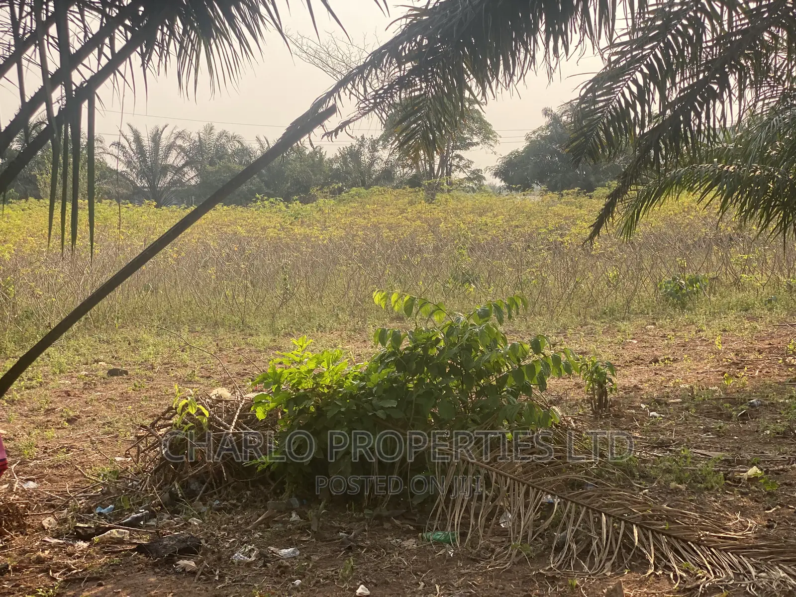 Genuine 200ft by 200ft Along Benin-Sapele Road Express for Sale