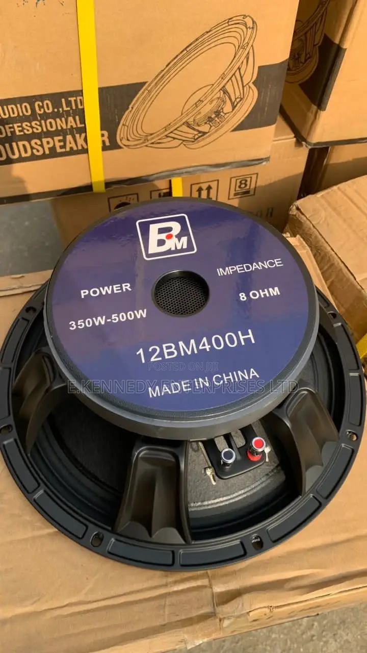 Professional 12” Inches Naked Speaker