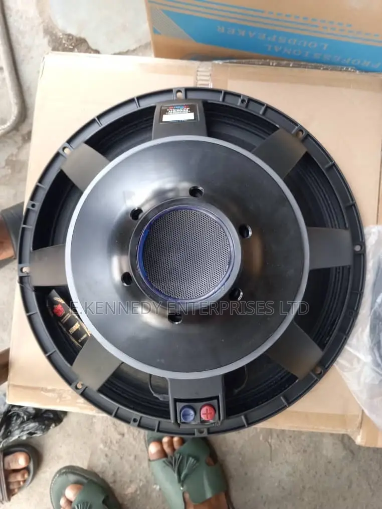 4000w Professional Himax 18-4000 Heavy-Duty Naked Speaker