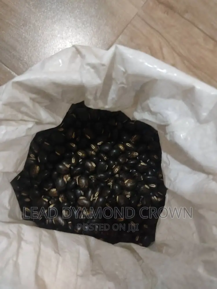 Mucuna Seeds