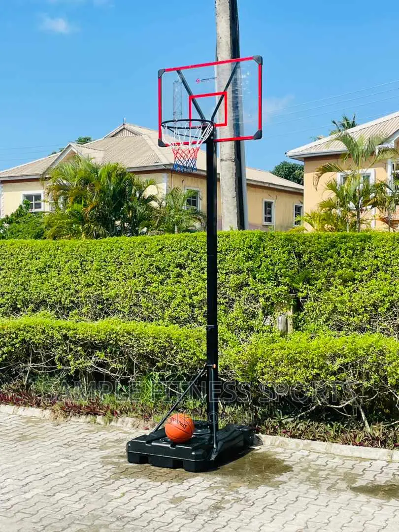 New Design Basket Stand and Ball