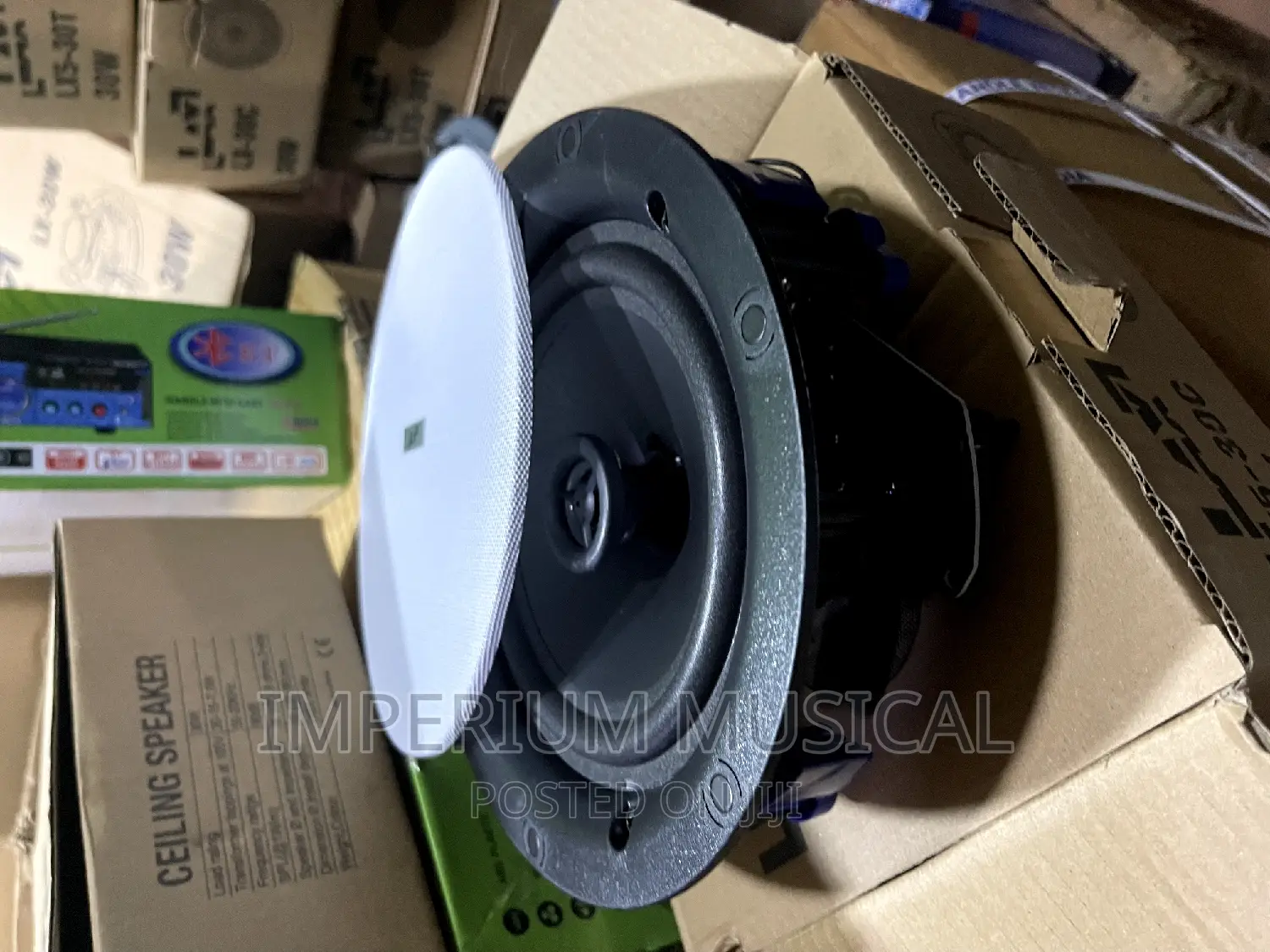 Frameless 30watts Lax Speaker