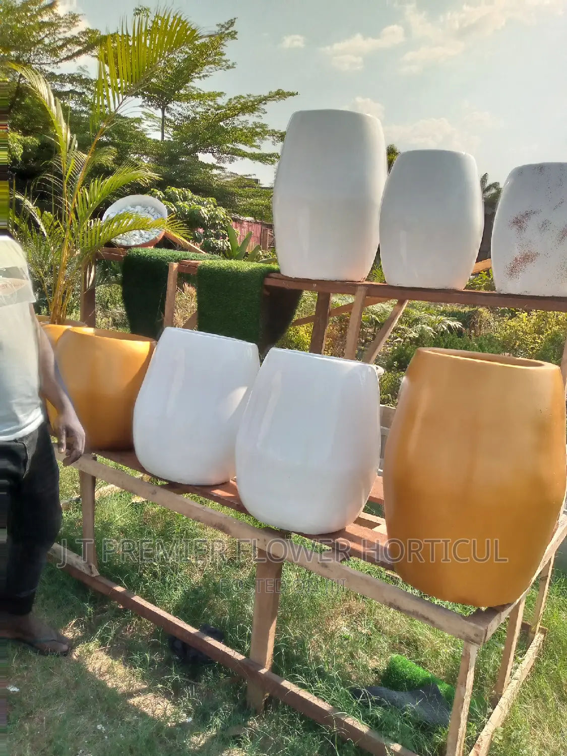 Jt Premier Flower Horticulturist Garden Owerri