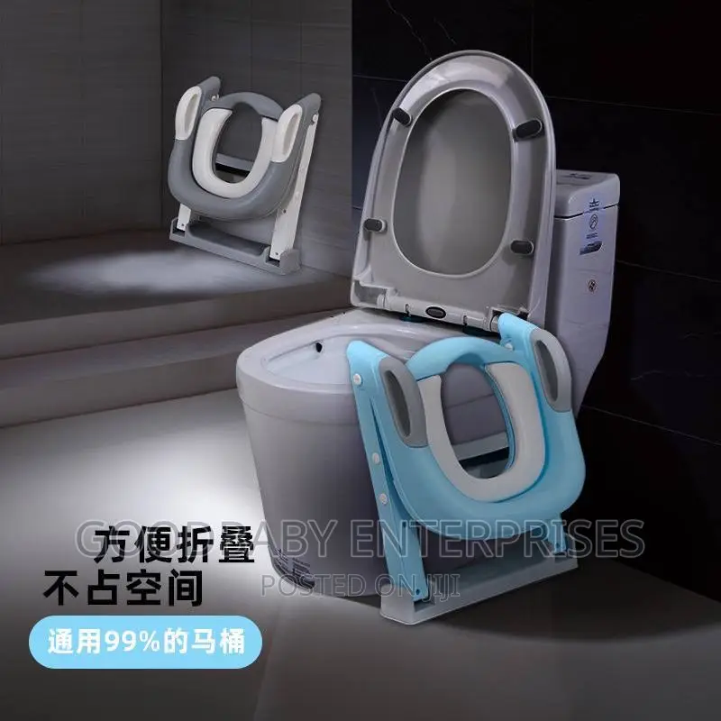 3 in One Potty Ladder
