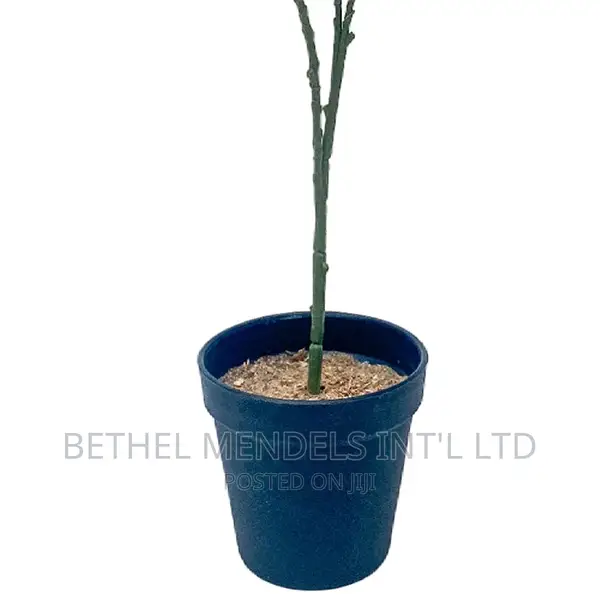 Artificial Plants | Mini Potted Fake Plant for Sale