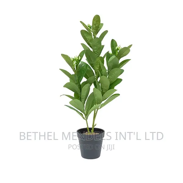Artificial Plants/Flower | Purchase Mini Potted Plants