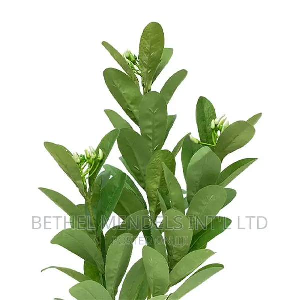 Artificial Plants/Flower | Purchase Mini Potted Plants