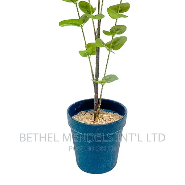 Artificial Flowers/Plants | Sales Quality Mini Fake Plants