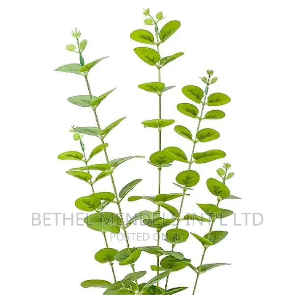 Artificial Flowers/Plants | Sales Quality Mini Fake Plants