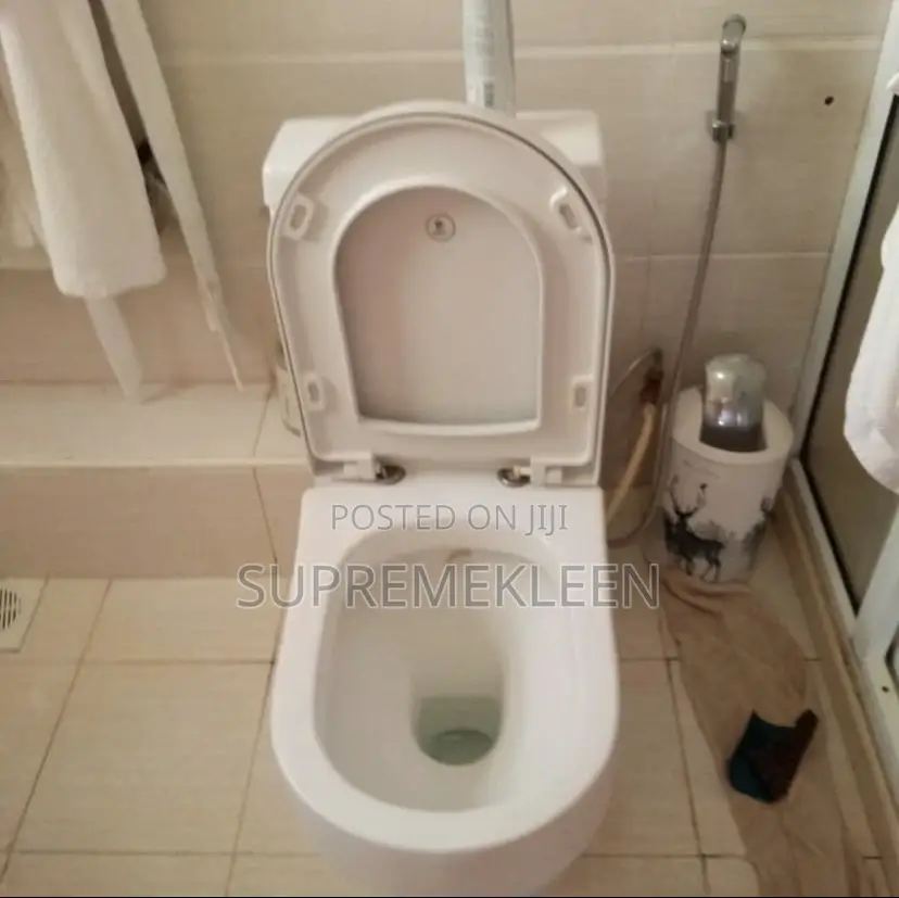 Deep Cleaning Of An Apartment Cleaning Service