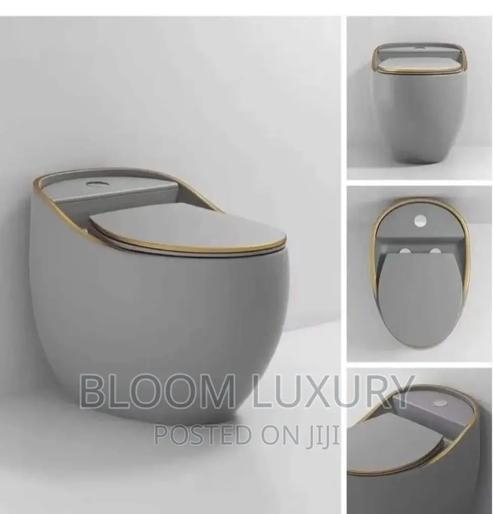 Grey Egg Shape Water Closet
