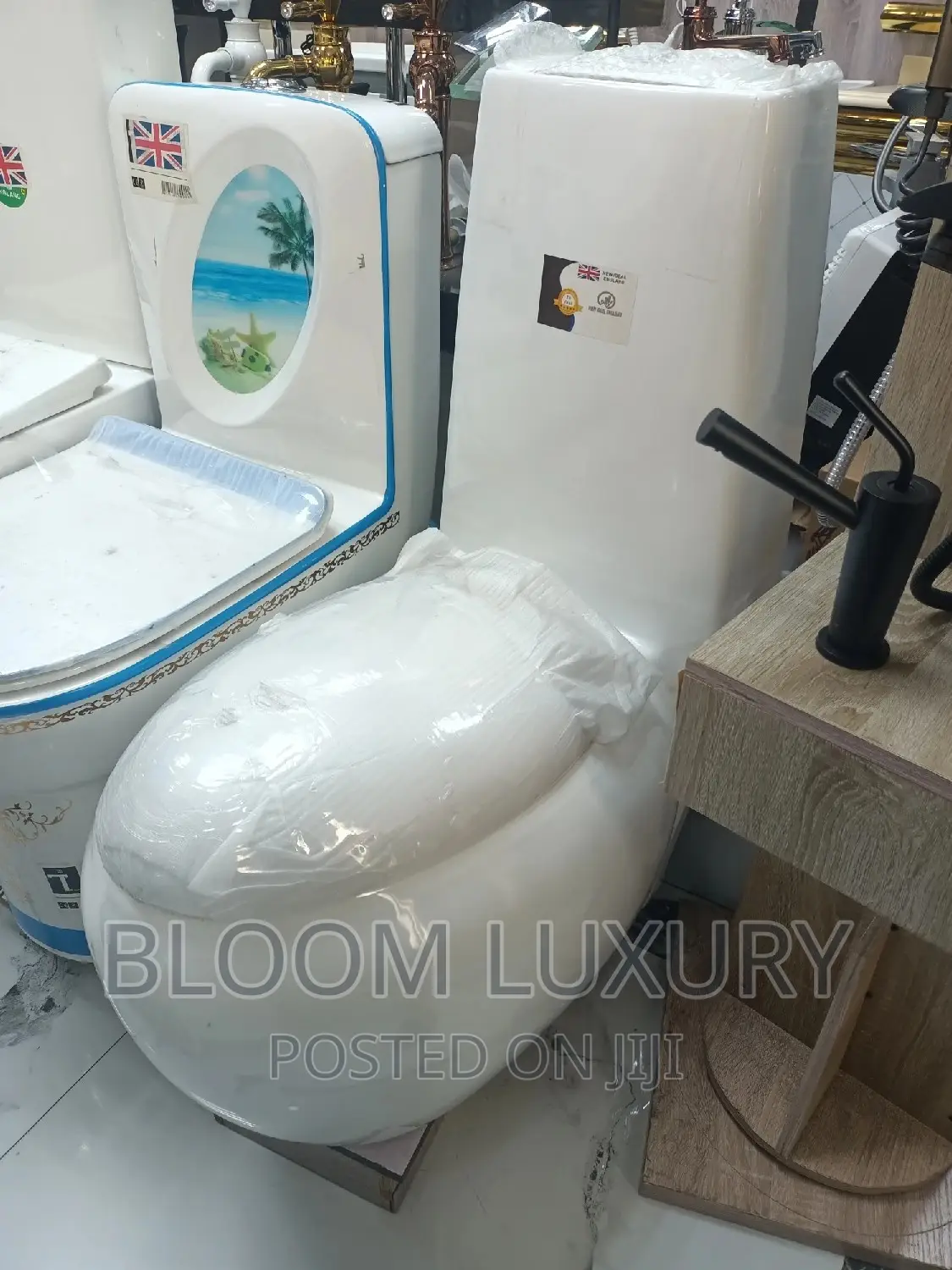 Egg Shaped Toilet