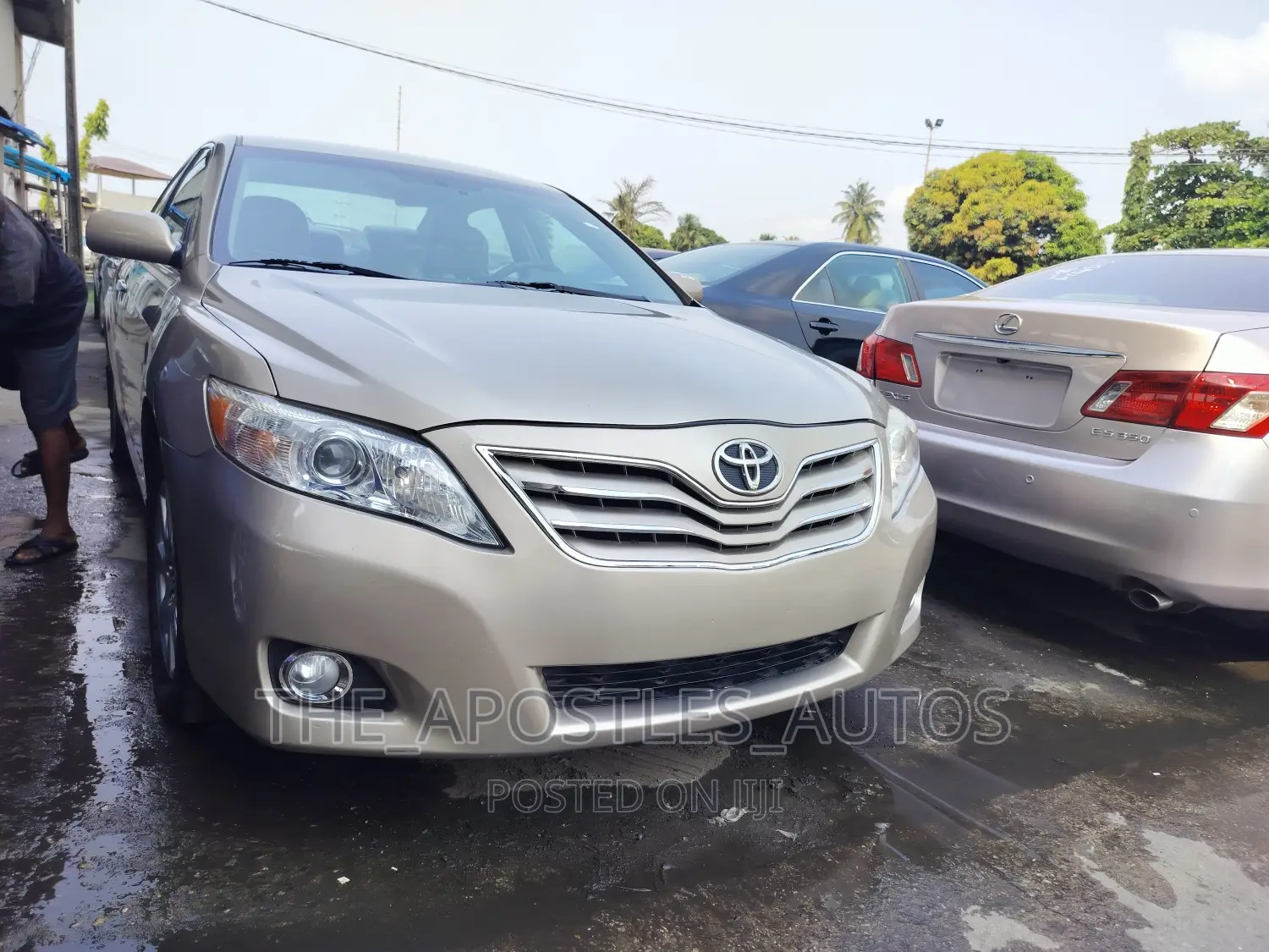 Toyota Camry XLE V6 4dr Sedan (3.5L 6cyl 6AM) 2009 Gold