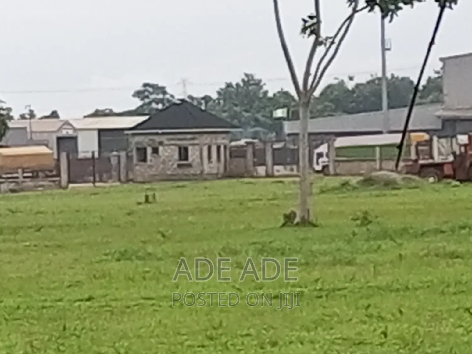 Sheep, Goad, and Chicken Carer Assistance