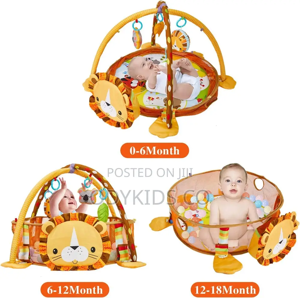 Educational Baby Activity Mat Ball Pit - Unisex Play Gym