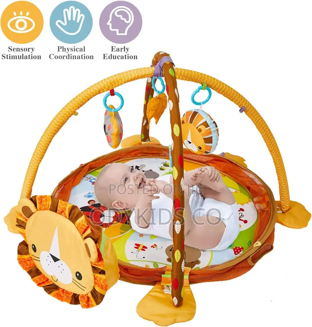 Educational Baby Activity Mat Ball Pit - Unisex Play Gym