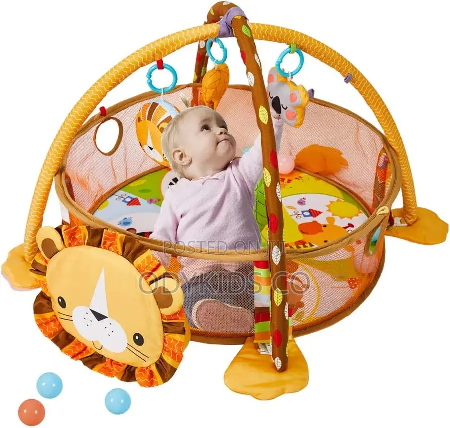Educational Baby Activity Mat Ball Pit - Unisex Play Gym