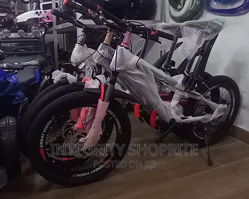 Great Vision 20inches Kids Bicycle
