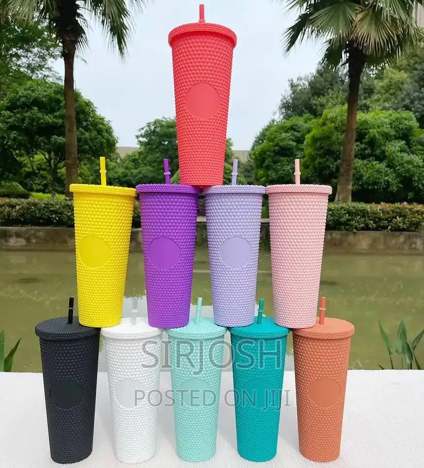 Double Wall Insulated Cup With Straw