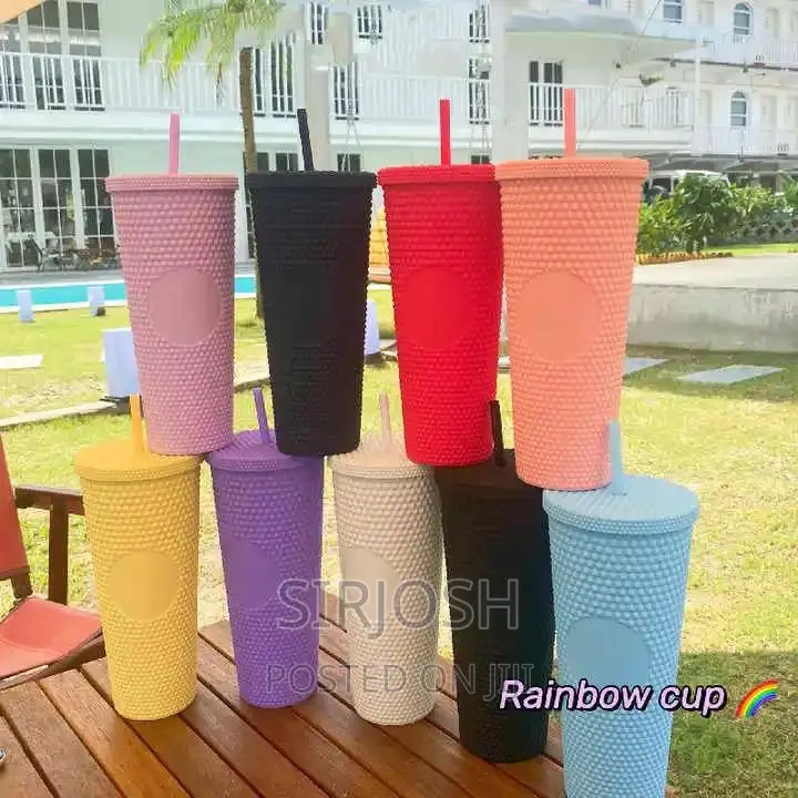 Double Wall Insulated Cup With Straw
