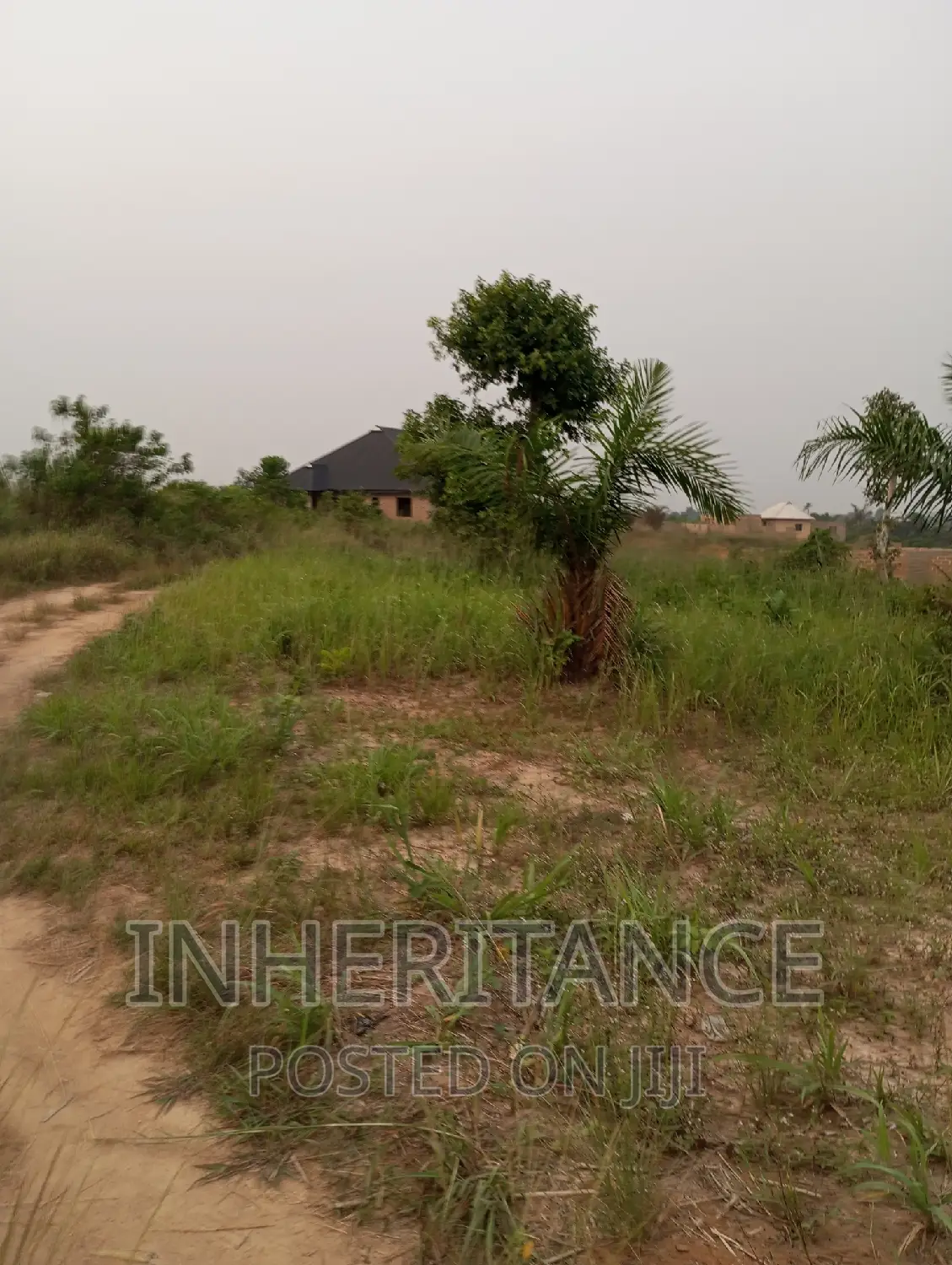 Pieces of Land
