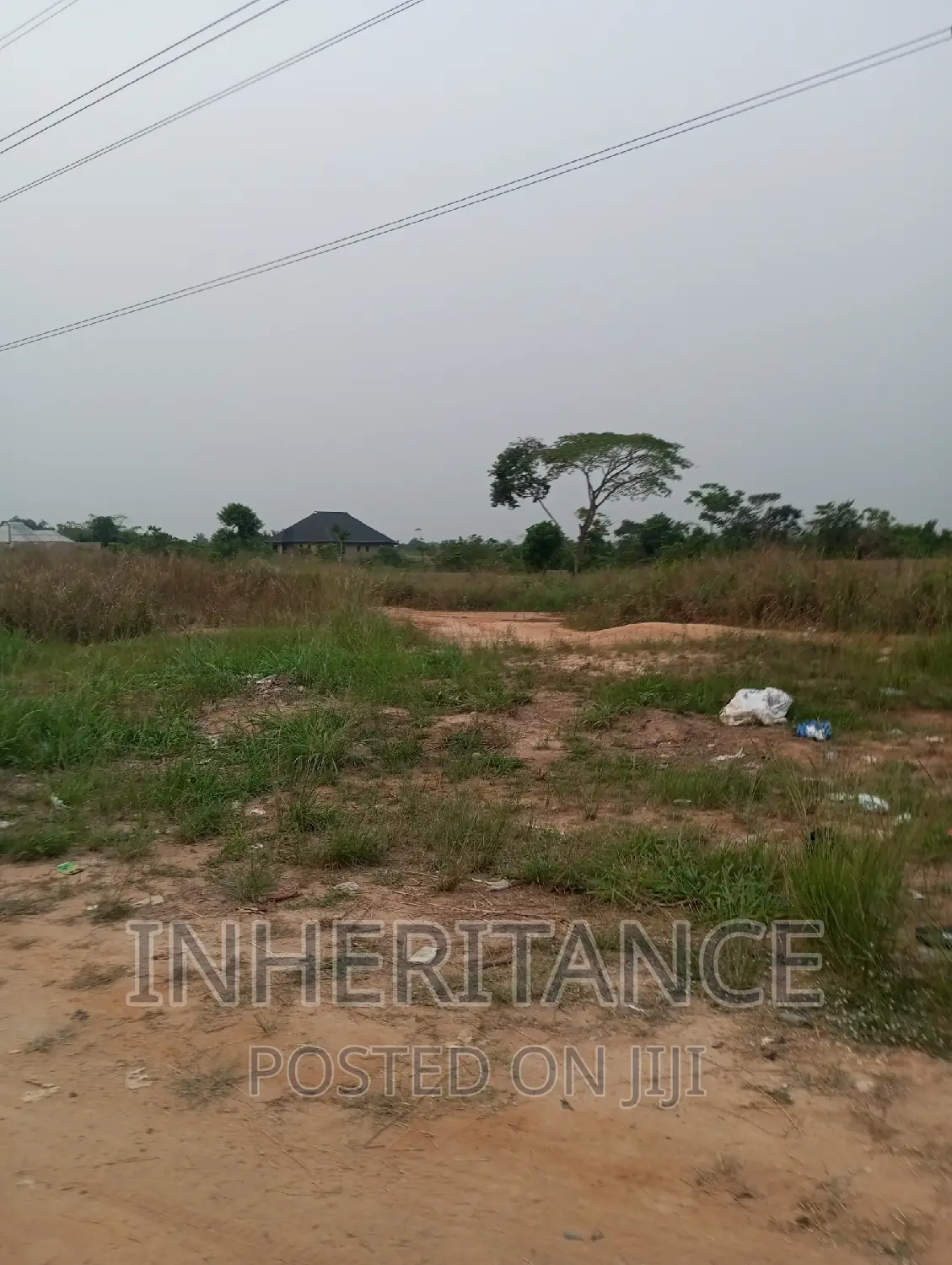 Pieces of Land