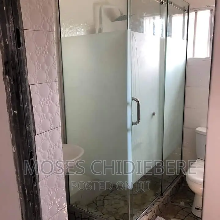 Glass Shower Cubicle (Doors)
